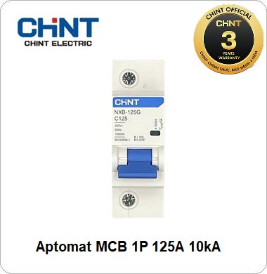 MCB NXB CHINT 1P 125A 10kA