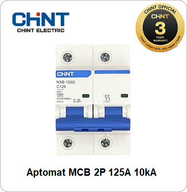 MCB NXB CHINT 2P 80A 10kA