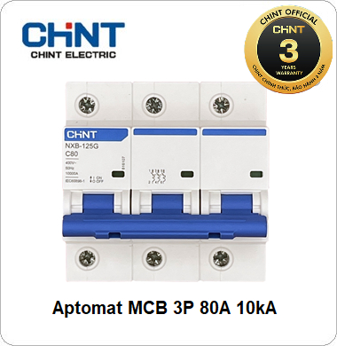 MCB NXB CHINT 2P 100A 10kA