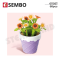 {$item->name}