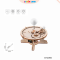 {$item->name}