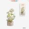 {$item->name}
